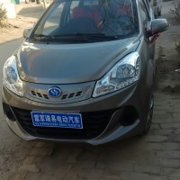 出售電動汽車