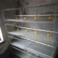 養(yǎng)雞苗籠子。