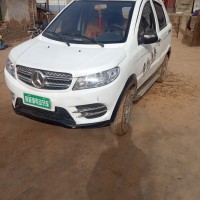 出售電動汽車