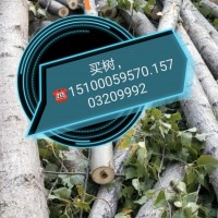 買樹(shù)15100059570